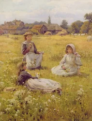 Plocka vilda blommor